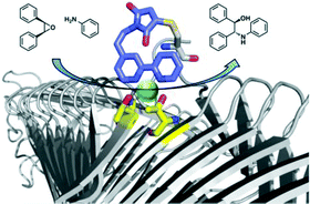 Graphical abstract: Semi-synthesis of an artificial scandium(iii) enzyme with a β-helical bio-nanotube