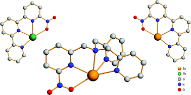 Graphical abstract: Unusual nitro-coordination of europium(iii) and terbium(iii) with pyridinyl ligands