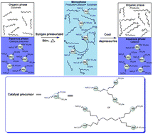 Graphical abstract: Aqueous-phase hydroformylation of 1-octene using hydrophilic sulfonate salicylaldimine dendrimers