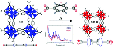 Graphical abstract: Scrutinizing negative thermal expansion in MOF-5 by scattering techniques and ab initio calculations