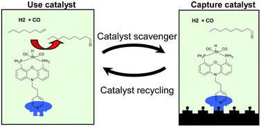 Graphical abstract: Catalyst recycling via specific non-covalent adsorption on modified silicas