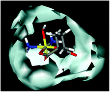 Graphical abstract: Molecular interaction fields vs. quantum-mechanical-based descriptors in the modelling of lipophilicity of platinum(iv) complexes