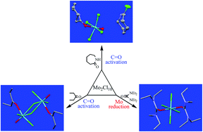 Graphical abstract: The interaction of molybdenum pentachloride with carbonyl compounds