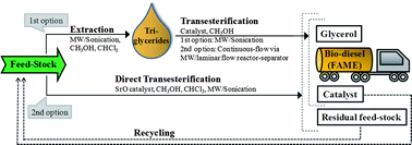 Graphical abstract: Optimization of bio-diesel production from oils, cooking oils, microalgae, and castor and jatropha seeds: probing various heating sources and catalysts