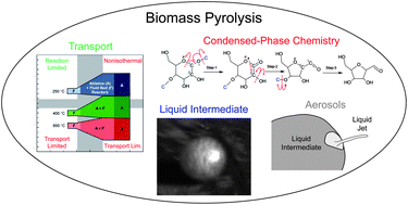 Graphical abstract: Top ten fundamental challenges of biomass pyrolysis for biofuels