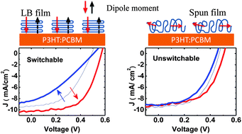 Graphical abstract: Understanding the effect of ferroelectric polarization on power conversion efficiency of organic photovoltaic devices