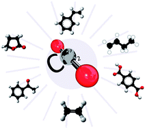 Graphical abstract: Carbon dioxide utilization as a soft oxidant and promoter in catalysis
