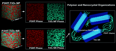 Graphical abstract: Correlation of nanoscale organizations of polymer and nanocrystals in polymer/inorganic nanocrystal bulk heterojunction hybrid solar cells: insights from multiscale molecular simulations