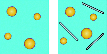 Graphical abstract: Encapsulation and release of hydrophobic bioactive components in nanoemulsion-based delivery systems: impact of physical form on quercetin bioaccessibility