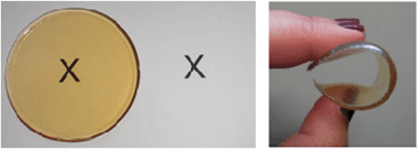 Graphical abstract: Thermosetting resin based on epoxidised linseed oil and bio-derived crosslinker