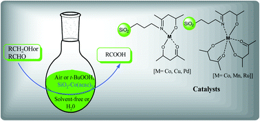 Graphical abstract: A comparative study of different metal acetylacetonates covalently anchored onto amine functionalized silica: a study of the oxidation of aldehydes and alcohols to corresponding acids in water