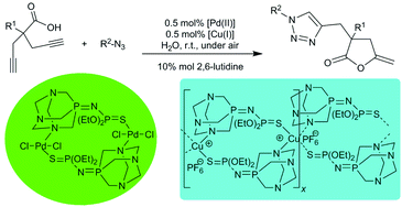 Graphical abstract: Pd(ii)-catalyzed cycloisomerisation of γ-alkynoic acids and one-pot tandem cycloisomerisation/CuAAC reactions in water