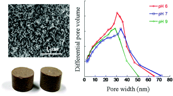 Graphical abstract: Highly mesoporous organic aerogels derived from soy and tannin
