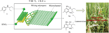 Graphical abstract: Safe, efficient and selective synthesis of dinitro herbicides via a multifunctional continuous-flow microreactor: one-step dinitration with nitric acid as agent
