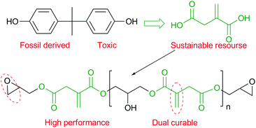 Graphical abstract: Bio-based epoxy resin from itaconic acid and its thermosets cured with anhydride and comonomers