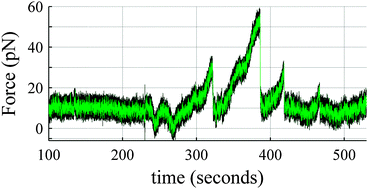 Graphical abstract: Measuring forces at the leading edge: a force assay for cell motility