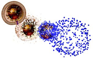 Graphical abstract: Antigen-loaded pH-sensitive hydrogel microparticles are taken up by dendritic cells with no requirement for targeting antibodies