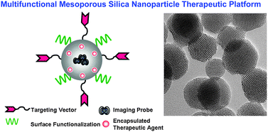 Graphical abstract: Mesoporous silica nanoparticles: A multifunctional nano therapeutic system