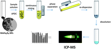Graphical abstract: Unmodified manganese ferrite nanoparticles as a new sorbent for solid-phase extraction of trace metal–APDC complexes followed by inductively coupled plasma mass spectrometry analysis