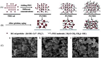 Graphical abstract: Versatile fabrication of nanoscale sol–gel bioactive glass particles for efficient bone tissue regeneration