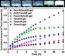 Graphical abstract: Molecular hydrogelators consist of Taxol and short peptides/amino acids