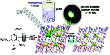 Graphical abstract: Multi-functional metal–organic frameworks assembled from a tripodal organic linker