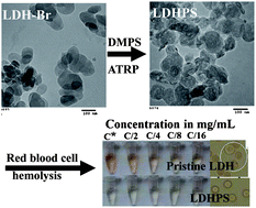 Graphical abstract: Preparation and evaluation of well-defined hemocompatible layered double hydroxide-poly(sulfobetaine) nanohybrids