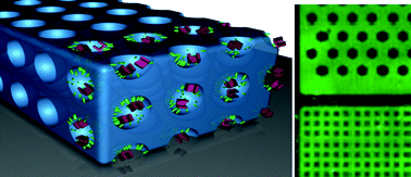 Graphical abstract: Microfabrication of mesoporous silica encapsulated enzymes using deep X-ray lithography