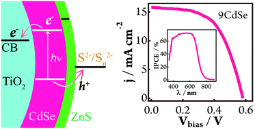 Graphical abstract: CdSe-sensitized mesoscopic TiO2 solar cells exhibiting >5% efficiency: redundancy of CdS buffer layer