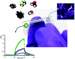 Graphical abstract: Graphene quantum resistive sensing skin for the detection of alteration biomarkers