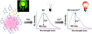 Graphical abstract: DNA-templated formation of silver nanoclusters as a novel light-scattering sensor for label-free copper ions detection