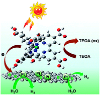 Graphical abstract: Enhanced photocatalytic hydrogen evolution performance based on Ru-trisdicarboxybipyridine-reduced graphene oxide hybrid