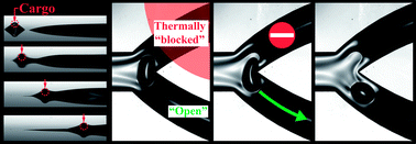 Graphical abstract: Self-propelling surfactant droplets in chemically-confined microfluidics – cargo transport, drop-splitting and trajectory control
