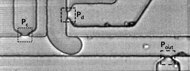 Graphical abstract: Experimental validation of plugging during drop formation in a T-junction