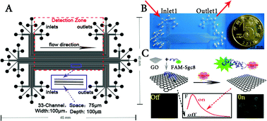 Graphical abstract: Visual and high-throughput detection of cancer cells using a graphene oxide-based FRET aptasensing microfluidic chip