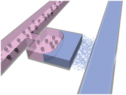 Graphical abstract: Vacuum-assisted cell loading enables shear-free mammalian microfluidic culture