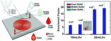 Graphical abstract: Double spiral microchannel for label-free tumor cell separation and enrichment