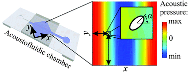 Graphical abstract: Acoustofluidics 19: Ultrasonic microrobotics in cavities: devices and numerical simulation