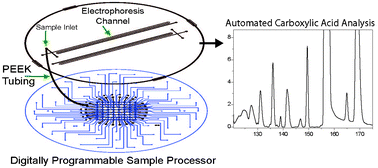 Graphical abstract: Digitally programmable microfluidic automaton for multiscale combinatorial mixing and sample processing