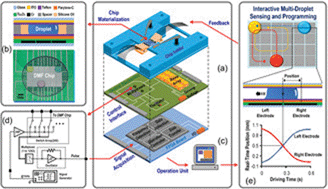 Graphical abstract: An intelligent digital microfluidic system with fuzzy-enhanced feedback for multi-droplet manipulation