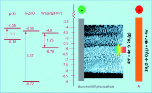 Graphical abstract: 3D branched nanowire heterojunction photoelectrodes for high-efficiency solar water splitting and H2 generation