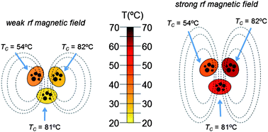 Graphical abstract: New insights into the heating mechanisms and self-regulating abilities of manganite perovskite nanoparticles suitable for magnetic fluid hyperthermia