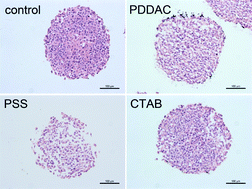 Graphical abstract: Surface chemistry-mediated penetration and gold nanorod thermotherapy in multicellular tumor spheroids