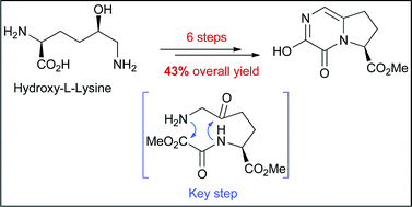 Graphical abstract: Concise synthesis of an enantiopure bicyclic pyrazinone as constrained peptidomimetic building block