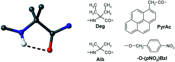Graphical abstract: Novel peptide foldameric motifs: a step forward in our understanding of the fully-extended conformation/310-helix coexistence