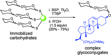 Graphical abstract: Direct O-glycosidation of resin bound thioglycosides