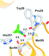 Graphical abstract: Promiscuous enantioselective (−)-γ-lactamase activity in the Pseudomonas fluorescens esterase I