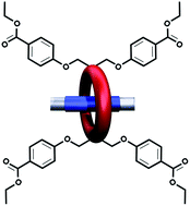 Graphical abstract: [2]Pseudorotaxanes, [2]rotaxanes and metal–organic rotaxane frameworks containing tetra-substituted dibenzo[24]crown-8 wheels