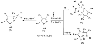 Graphical abstract: Reactions of 1-alkyl-1,2-diphospholes with 1,3-dipoles: diphenyldiazomethane and nitrones