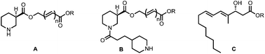 Graphical abstract: Synthesis and evaluation of new polyenic compounds as potential PPARs modulators